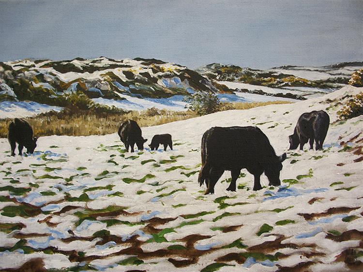 Welsh Blacks in the snow no.2