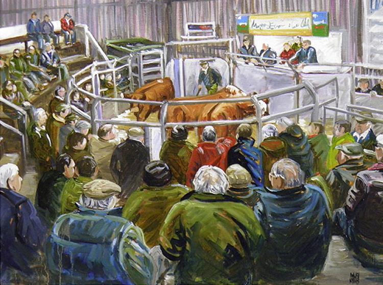At the sale no.4 Gaerwen cattle